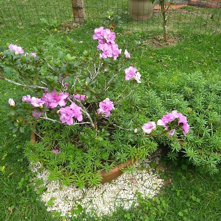 Kitnet E Suite Morada Aguiar - Chale Vila do Abraao Ngoại thất bức ảnh