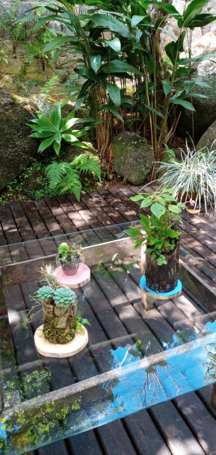 Kitnet E Suite Morada Aguiar - Chale Vila do Abraao Ngoại thất bức ảnh