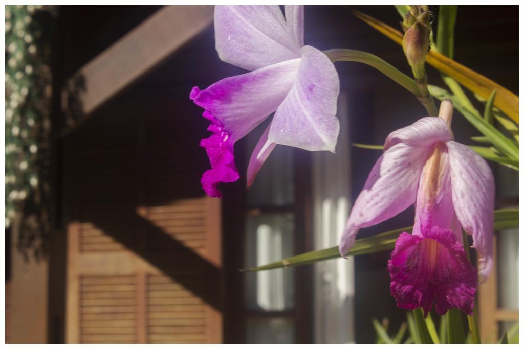 Kitnet E Suite Morada Aguiar - Chale Vila do Abraao Ngoại thất bức ảnh